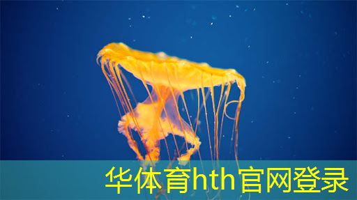 华体育hth：哈密市3d游戏