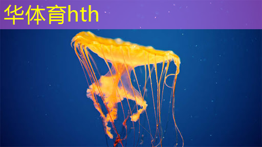 华体育hth：3d战斗游戏端游推荐