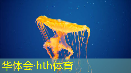 学习3d游戏需要会哪些