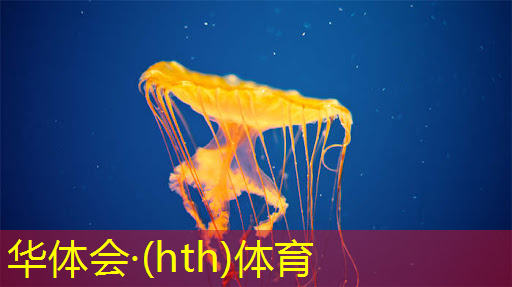 井底之蛙小程序游戏入口