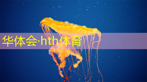 3d战斗游戏端游推荐